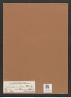 Navicula mutica var. goeppertiana (Bleischl.) Cl. et Gr. (de-Toni-Nr.: Genus 1, Species 397) Zeichnungen Sammlung Grunow Mappe 00365 (Herbarium_W_Grunow_drawings_Folder_00365)
